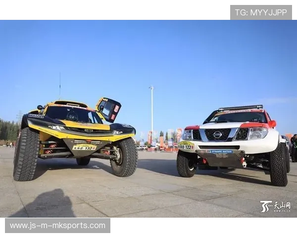 赛车手的训练天幕后：体能与心理训练揭秘，赛车手体能训练内容