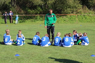 mk体育官网-德甲客场战术大公开，德甲打法